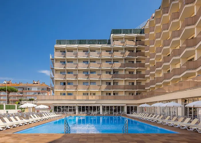 Htop Amatista #htopbliss